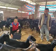 关于法甲领头羊：队内信心高涨，将继续努力的信息